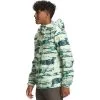 The North Face Printed Cyclone Jacket 3 - Men's -Men's Outdoor Gear LICRRACAPR D2