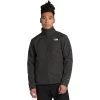 The North Face Apex Bionic 2 Softshell Jacket - Men's